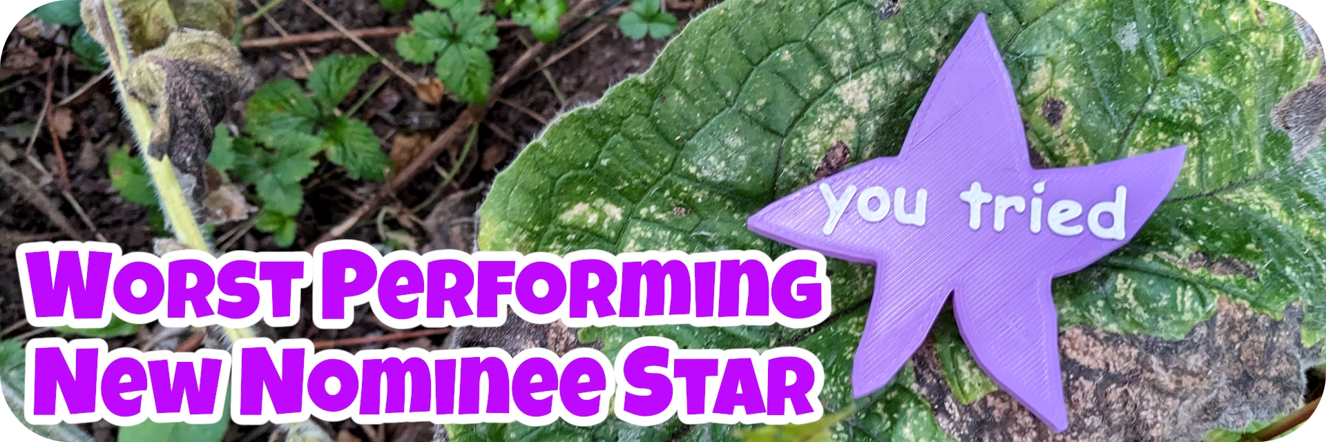 Worst Performing New Nominee Star